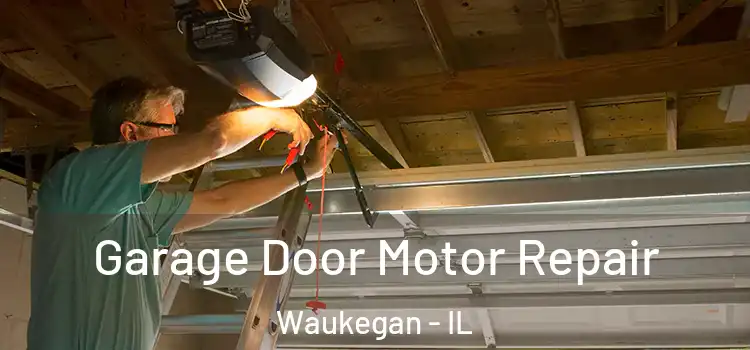  Garage Door Motor Repair Waukegan - IL