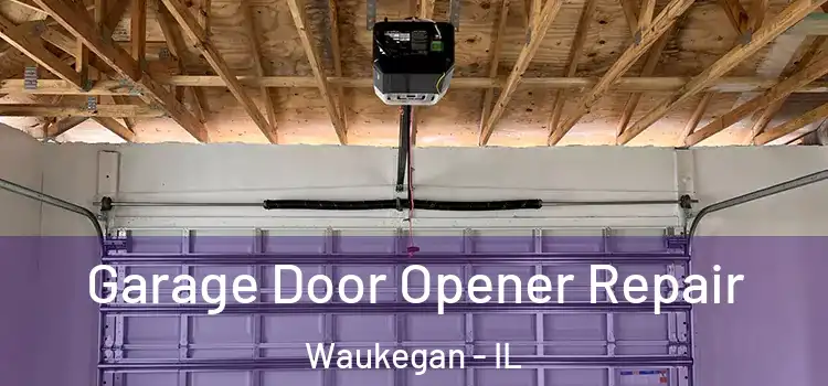  Garage Door Opener Repair Waukegan - IL