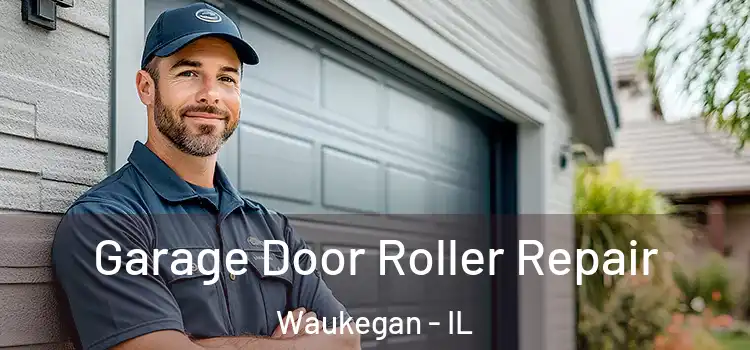  Garage Door Roller Repair Waukegan - IL