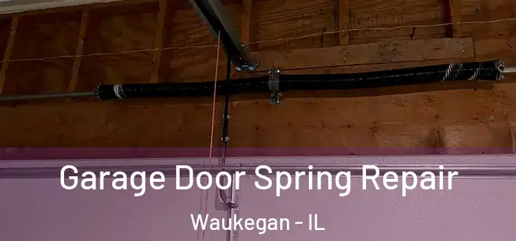  Garage Door Spring Repair Waukegan - IL