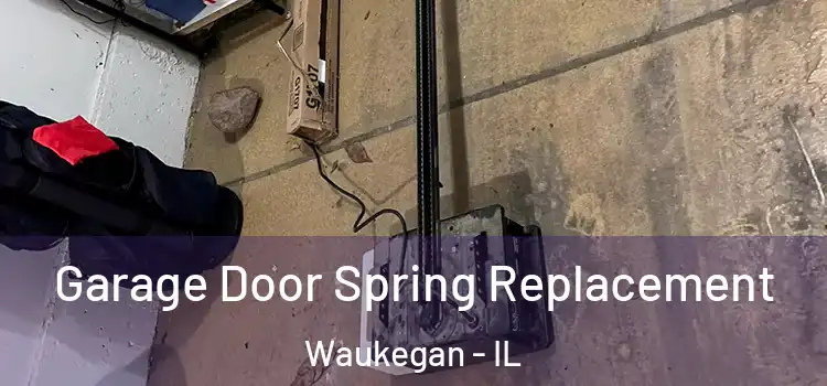  Garage Door Spring Replacement Waukegan - IL