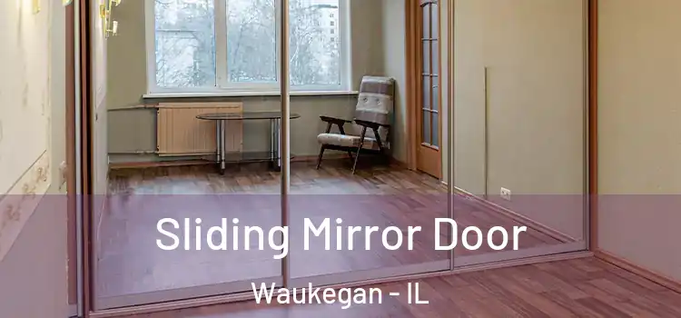  Sliding Mirror Door Waukegan - IL